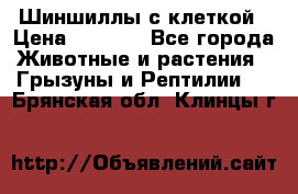 Шиншиллы с клеткой › Цена ­ 8 000 - Все города Животные и растения » Грызуны и Рептилии   . Брянская обл.,Клинцы г.